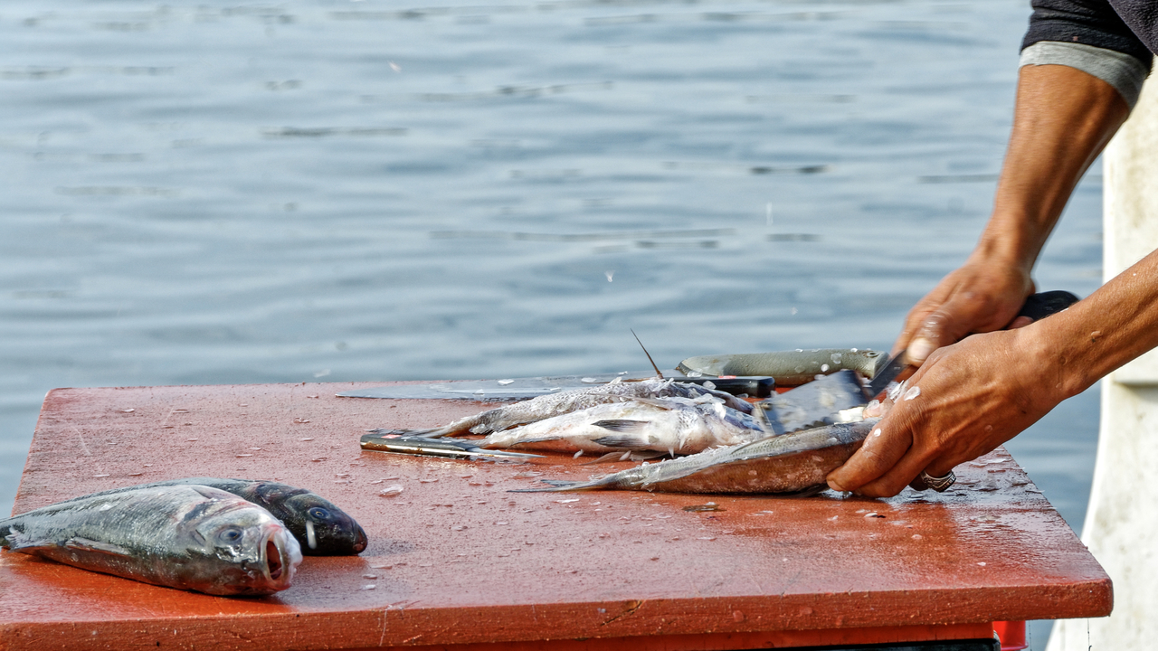 20191028 120637•Marseille 16•Provence•France